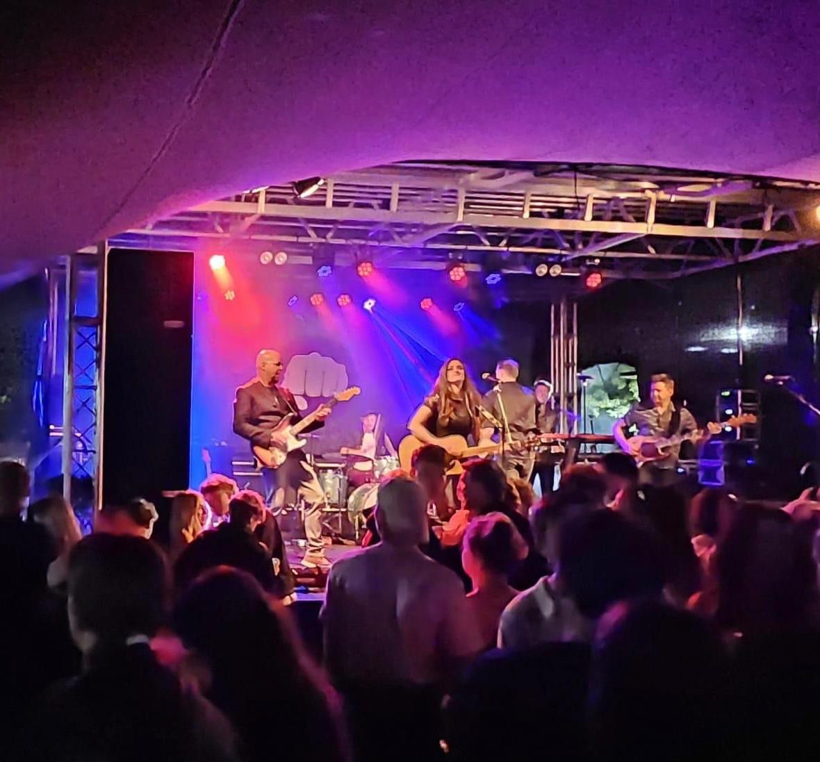 De voltallige band van The Hits live op het podium onder paarse en blauwe podiumverlichting, gezien vanuit de zaal